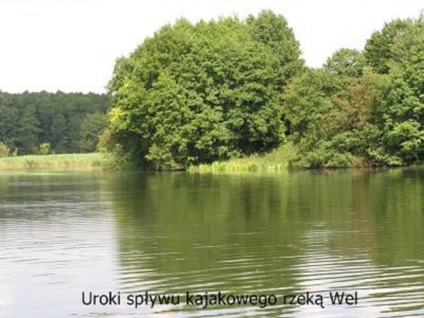 Dziewicza rzeka Wel na terenie Welskiego Parku Krajobrazowego, teren objęty programem NATURA 2000