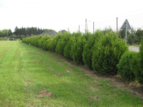 zdjecie Szymanowice Duże