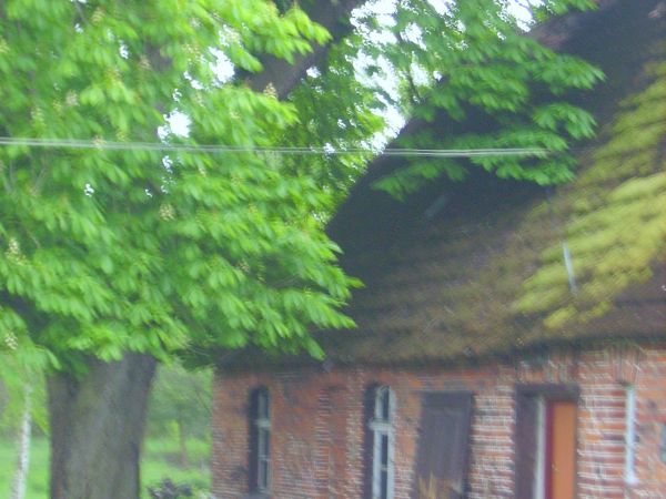 Die Wurzeln unserer Familie in Czarnylas