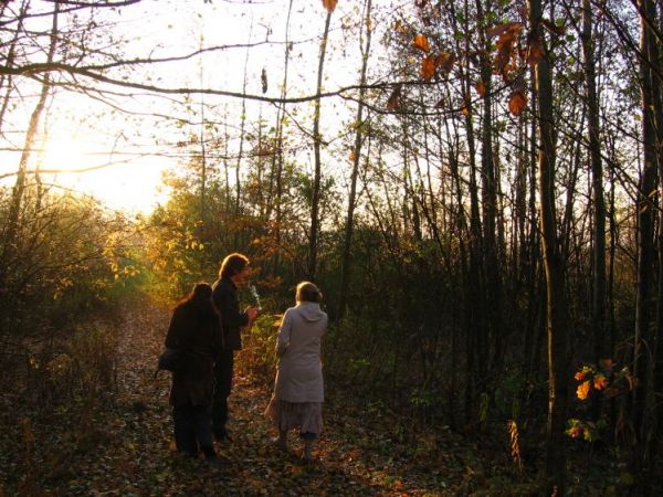 Droga nad stawy, grobla