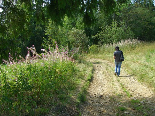 Gliczarów Dolny - trasa spacerowa II