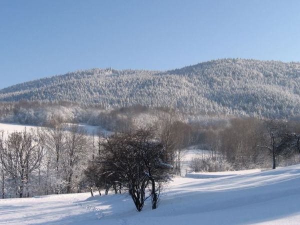 Zdjęcia Wierzbanowa