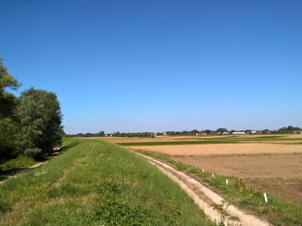 Niezapomniane krajobrazy z dzieciństwa .kiedy byliśmy młodzi,zdrowi a niektórzy nawet ładni a zwłaszcza niektóre :-)  .Rampa na wale Wisły Brzostków II .