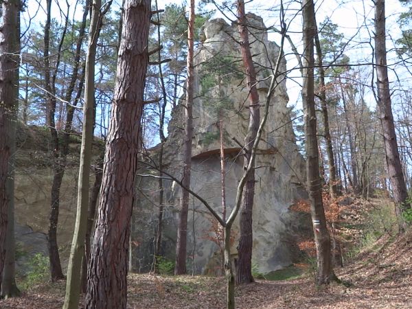 widoczne ślady kamieniołomu - działalności eksploatacyjnej, skała została tu podcięta.
