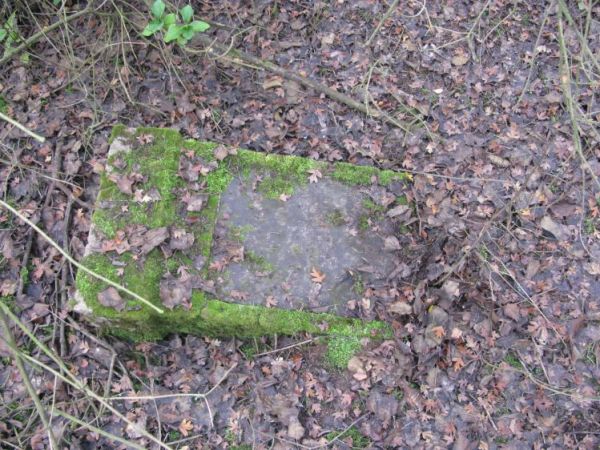 Stary poniemiecki cmentarz - tuż za wsią Gąbin...