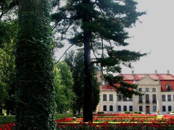 Palac Zamoyskich