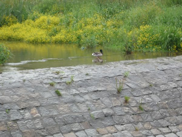 zdjecie Jarnołtówek