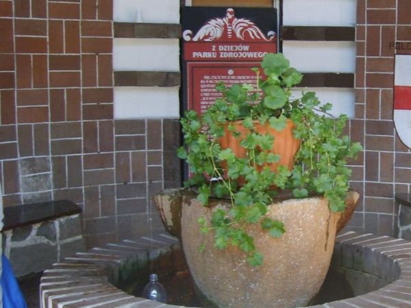 Pijalnia wody mineralnej"Joasia"w parku w Połczynie Zdroju