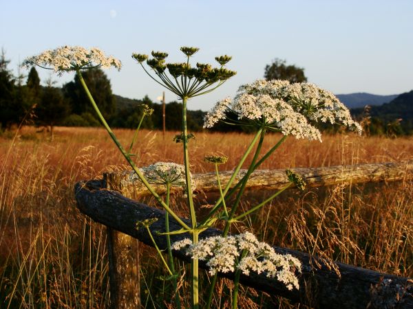 zdjecie Ustrzyki Górne