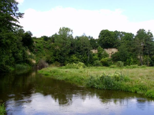 Wysoka skarpa Wieprza w Latyczowie nieopodal Krasnegostawu