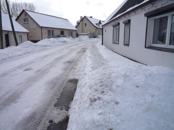 Łopienno w zimowej szacie.