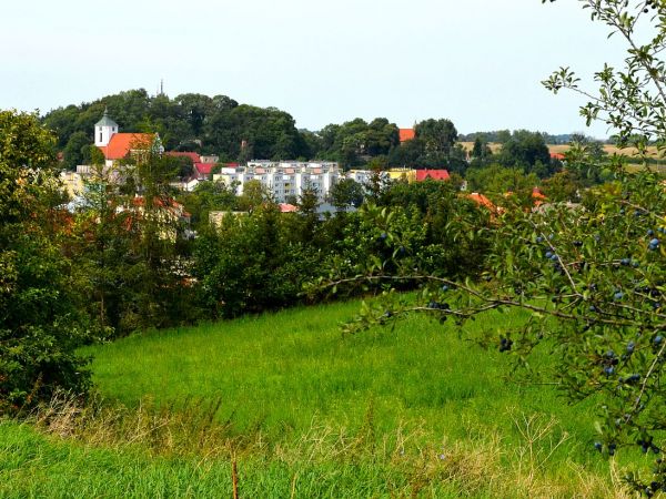 Dzierzgoń - sierpień 2016.