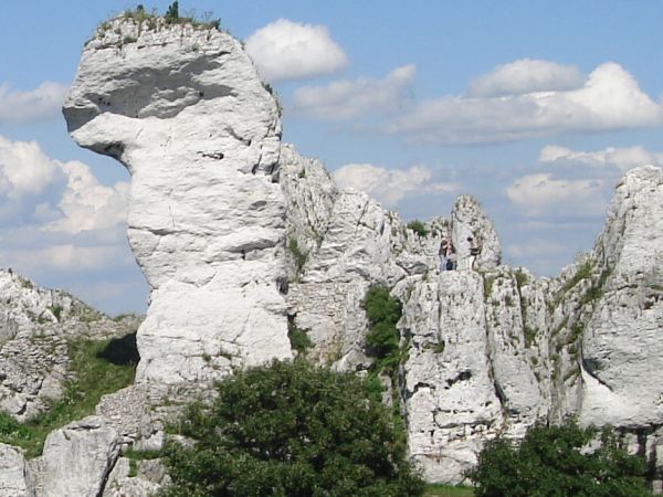 Zamek OGRODZIENIEC **** http://www.zamek-ogrodzieniec.pl/ **** http://zamki.net.pl/zamki/podzamcze/podzamcze.php **** Zamek Ogrodzieniec znajduje się w Podzamcz