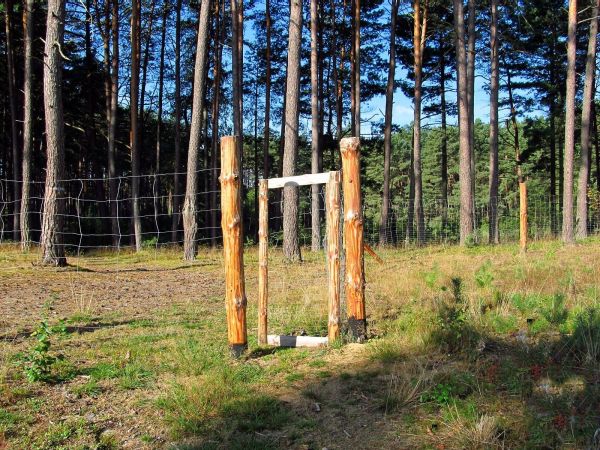 Leśna furtka w lesie przy jeziorze Szarmachy