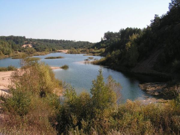 Podbialostockie lasy..( fot. Marcin B.Niczyporuk)