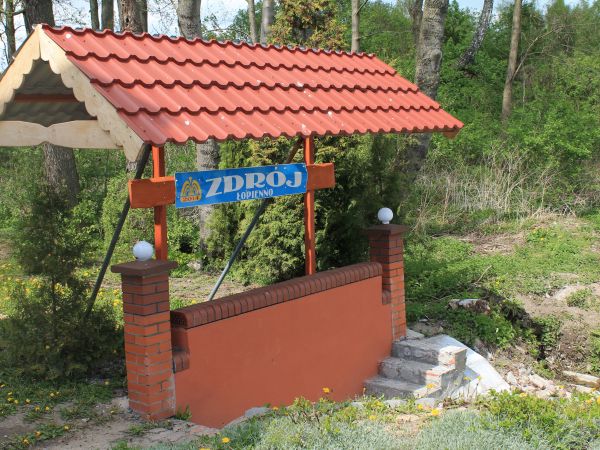Łopienno, zdrój.