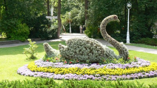 KWIATOWY OBRAZ-BULWAR DIETLA