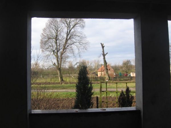 TAK WYGLADAJĄ DWUSTU LETNIE LIPY ,JAK SIĘ WAM PODOBAJĄ .WIESLUBÓW NALEŻY DO GMINY KTÓRA MA STATUS PARKUKRAJOBRAZOWEGO ,NALEZY DO STOWARZYSZENIA POWIATÓW I GMN O