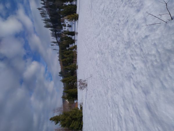 Widoki w Glince i Chatki u Omyłów.
