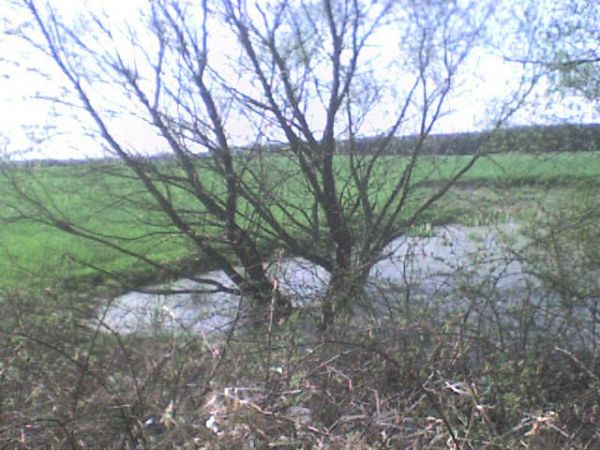 ,,gdyby można było włączyć się w plusk wody
naszych błot, i w chlupot naszych marnych ścieżek
mieć wsparcie w kamieniu nim zakrzepnie woda
zanim zima sczerni