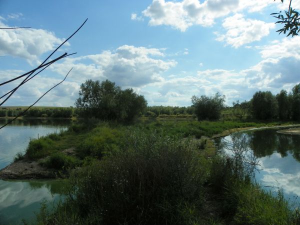 Jezioro Mietków -od strony Domanic