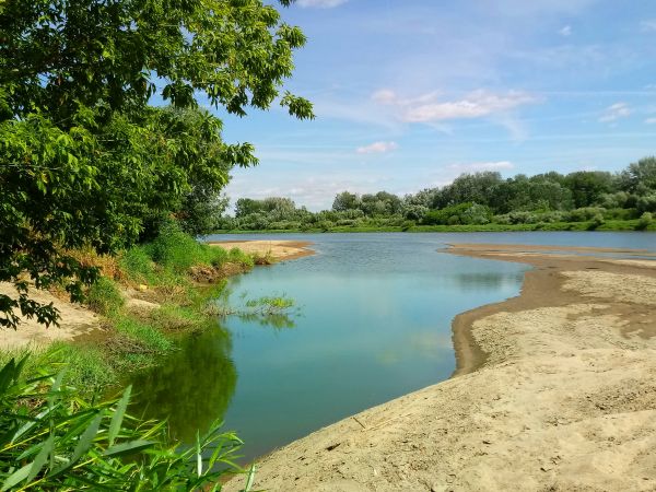 \"Tempora mutantur et nos mutamur in illis \"