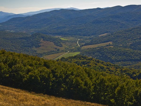 Połonina Caryńska-droga do Wołosatego