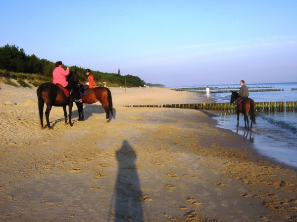 Wczesnym rankiem można spotkać i takich plażowiczów.