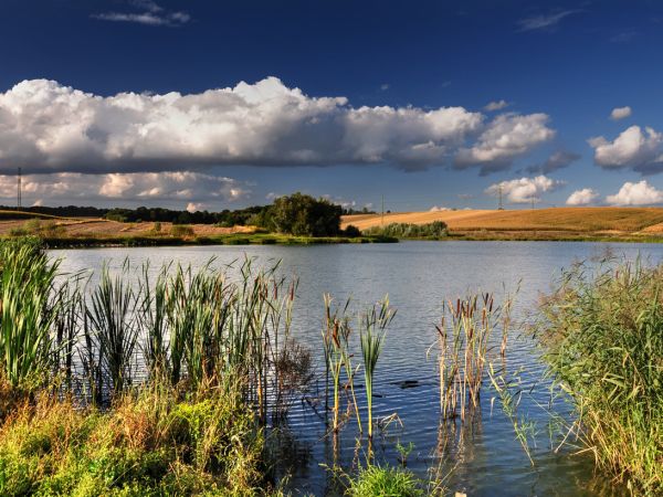 zdjecie Wodzisław Śląski