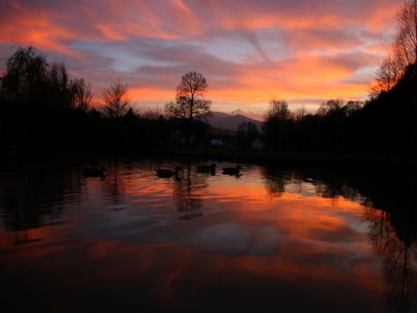 zdjecie Stary Gierałtów