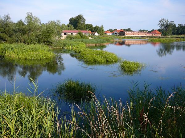 Prawie jak na Mazurach... Widok na Borkowice od strony stawów po żwirowni.