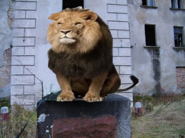dawniej stał w tym na tym miejscu kamienny lew