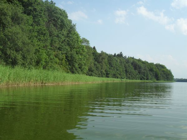 Jezioro Gatno  w miejscowości Nowa Kiszewa Chrósty