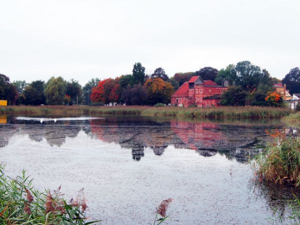 zdjecie Waplewo Wielkie