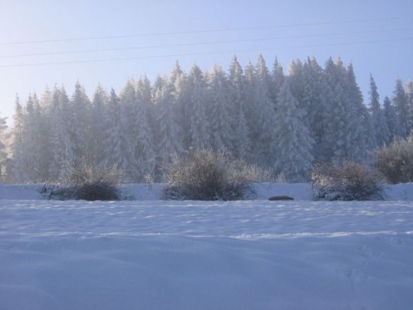 zdjecie Bącza-Kunina