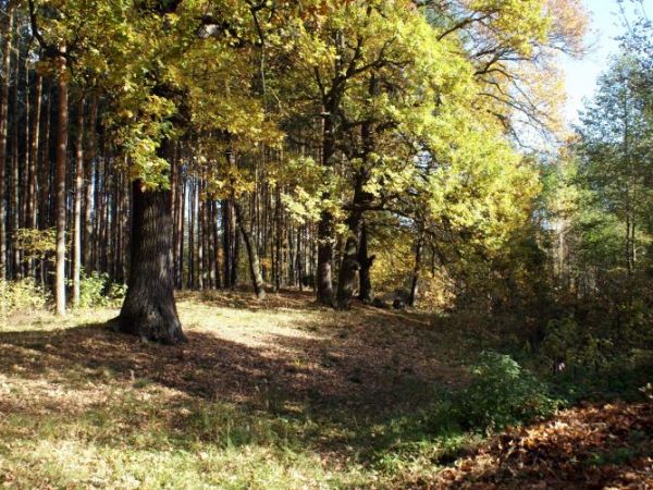 zdjecie Szklarka Radnicka