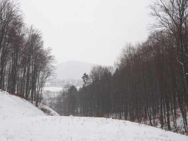 przy drodze leśnej na przysiółku Machlina - sztaple drewna, w dole San płynie a za nim prawobrzeżna część wsi i dalej Las Selpy na zboczu Góry Krzyż - 450m npm.