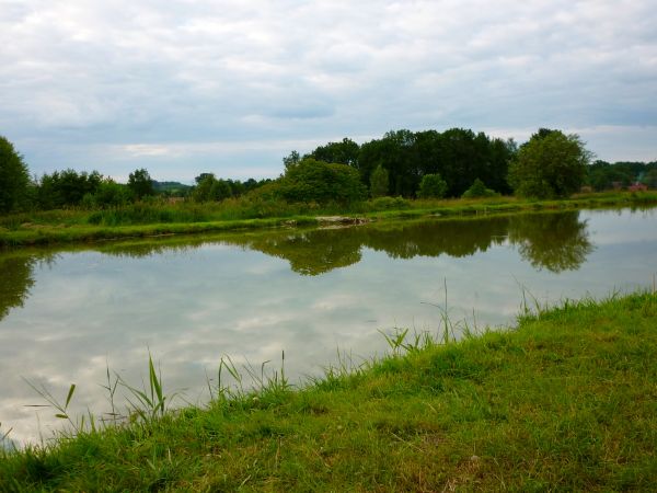 Staw rybny we Włosieniu.