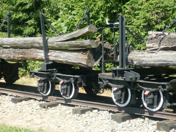 Bogate i różnorodne Muzeum Kolei Wąskotorowej . Jedyna na ziemiach polskich o rozstawie szyn tylko 60 cm.