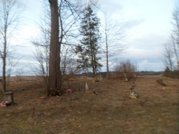 pomniki i kamienne krzyże nagrobne w starym sektorze cmentarza cerkiewnego.