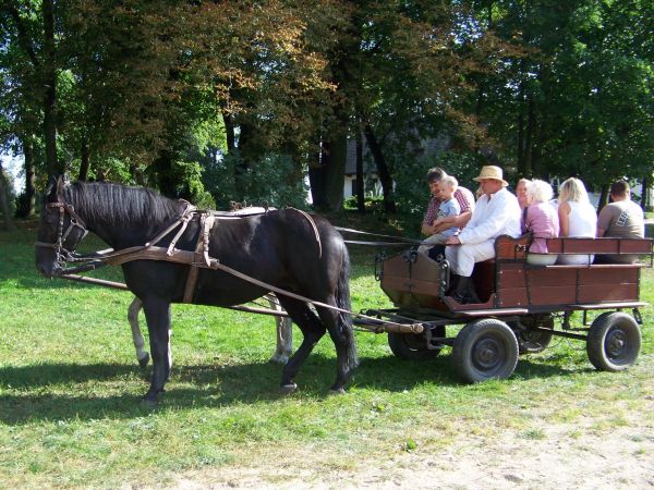 Konna wycieczka po terenie skansenu.