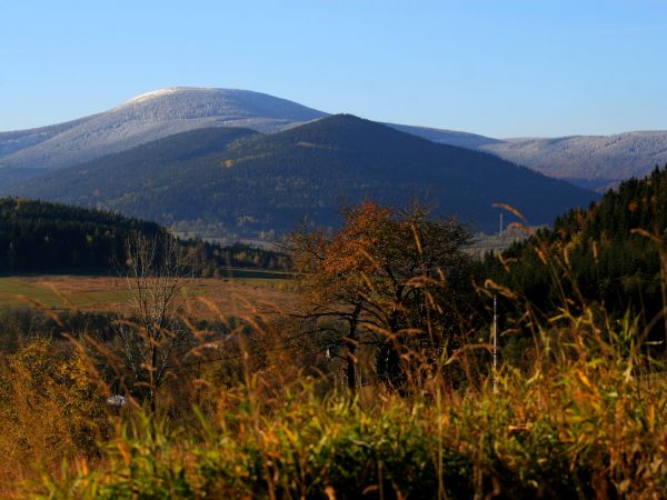 zdjecie Stary Gierałtów