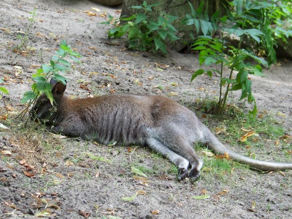 Uważaj, mam ciebie na oku