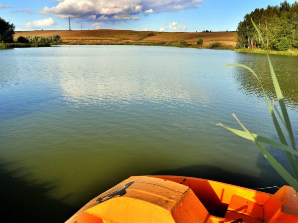 zdjecie Wodzisław Śląski