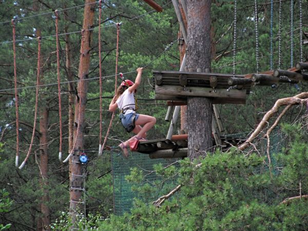 Park linowy za Domem do góry nogami