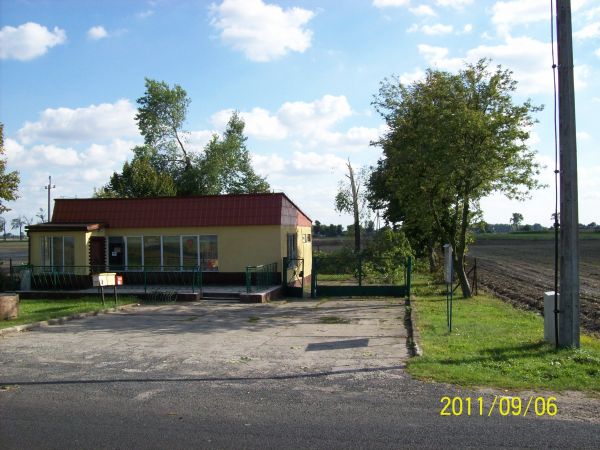 Potężna topola na budynku wiejskiego sklepu.