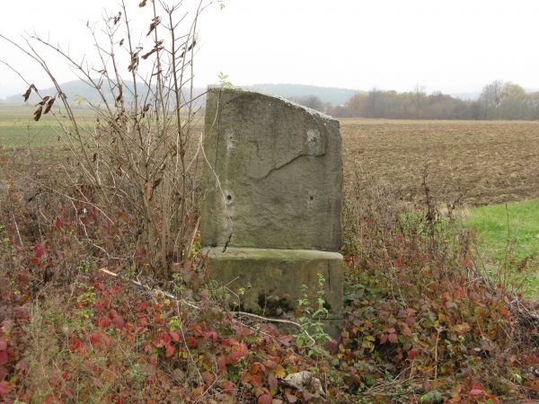 Zdewastowany pomnik/obelisk wzniesiony tym, co zginęli w czasach walk o utrwalanie władzy ludowej - usunięta tablica. Na skraju wsi, rozłożonej w dolinie potoku