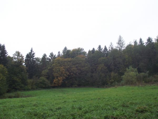 czuwanie nad racjonalną gospodarką zasobami przyrody - to też działalność mająca na celu zachowanie, restytuowanie oraz zapewnienie trwałości użytkowania - tu p