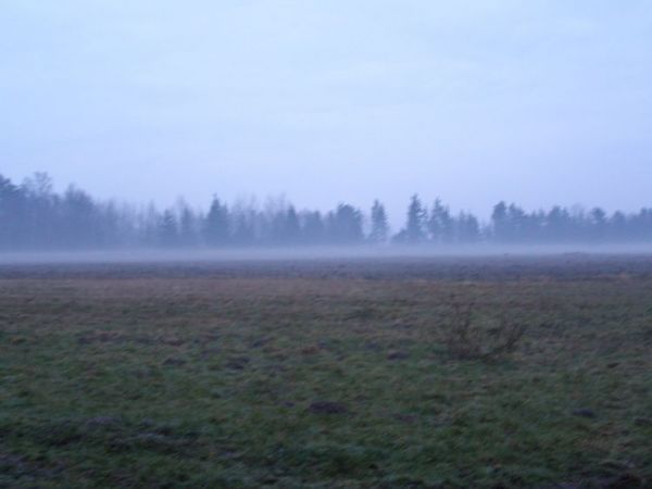 zdjecie Zalesie Górne