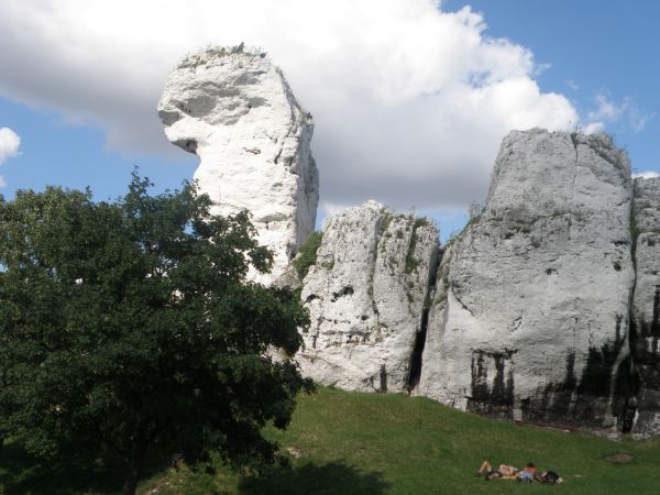 ZAMEK  OGRODZIENIEC  znajduje się w osadzie  Podzamcze , około 2 km na wschód od miejscowosci  Ogrodzieniec.